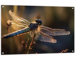 Tuinposter – Blauwe libel staat op bloem met gedetaileerde doorzichtige vleugels - 120x80 cm Foto op Tuinposter (wanddecoratie voor buiten en binnen)