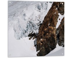 Tuinposter – Bruine Berg met Sneeuw - 80x80 cm Foto op Tuinposter (wanddecoratie voor buiten en binnen)