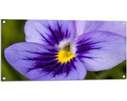 Tuinposter – Close Up van Paars Viooltje met Fel Geel Midden - Bloemen - 100x50 cm Foto op Tuinposter (wanddecoratie voor buiten en binnen)