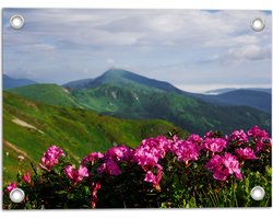 Tuinposter – Groepje Roze Bloemen op Top van Berg in Berglandschap - 40x30 cm Foto op Tuinposter (wanddecoratie voor buiten en binnen)