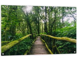 Tuinposter – Houten Brug Volgroeid met Mos in het Bos - 120x80 cm Foto op Tuinposter (wanddecoratie voor buiten en binnen)