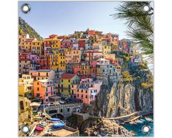 Tuinposter –Huisjes op Berg in Manarola - Italië– 80x80 Foto op Tuinposter (wanddecoratie voor buiten en binnen)