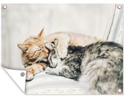 Tuinposter Kat - Bank - Woonkamer - 120x90 cm