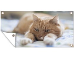 Tuinposter Kat - Bed - Bedsprei - Meisjes - Kinderen - Jongens - Kind - 60x30 cm - Tuindoek - Buitenposter