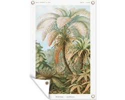 Tuinposter - Kunst - Vintage - Ernst Haeckel - Tuin - Schuttingposter - Varens - 60x90 cm - Bomen - Wanddecoratie - Tuindoek - Buitenposter