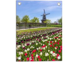 Tuinposter – Oerhollands Meerkleurig Tulpenveld bij Bruine Molen - 30x40 cm Foto op Tuinposter (wanddecoratie voor buiten en binnen)