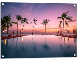 Tuinposter – Palmbomen bij Ligbedden aan het Water tijdens de Avondzon - 80x60 cm Foto op Tuinposter (wanddecoratie voor buiten en binnen)