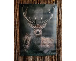 Tuinposter - rendier - landelijk - 112cm hoog