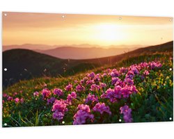 Tuinposter – Roze Bloemenveld boven aan de Berg bij Zonsondergang - 150x100 cm Foto op Tuinposter (wanddecoratie voor buiten en binnen)