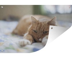 Tuinposters buiten Kat - Bed - Bedsprei - Meisjes - Kinderen - Jongens - Kind - 90x60 cm - Tuindoek - Buitenposter