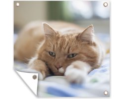 Tuinposters Kat - Bed - Bedsprei - Meisjes - Kinderen - Jongens - Kind - 50x50 cm - Tuindoek - Buitenposter