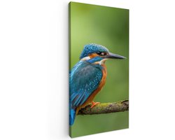 Tuinschilderij voor buiten 100x200 cm - Tuindecoratie IJsvogel - Tak - Mos - Vogel - Groen - Tuinposter op canvas - Tuin muurdecoratie - Buitenschilderij decoratie - Schutting wanddecoratie - Buitencanvas