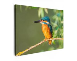 Tuinschilderij voor buiten 100x70 cm - Tuindecoratie Vogel - IJsvogel - Tak - Bladeren - Mos - Tuinposter op canvas - Tuin muurdecoratie - Buitenschilderij decoratie - Schutting wanddecoratie - Buitencanvas