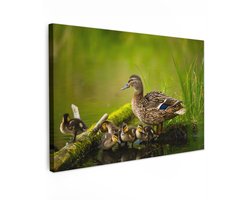 Tuinschilderij voor buiten 150x100 cm - Tuindecoratie Eend - Vogels - Water - Tak - Mos - Tuinposter op canvas - Tuin muurdecoratie - Buitenschilderij decoratie - Schutting wanddecoratie - Buitencanvas