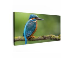 Tuinschilderij voor buiten 200x100 cm - Tuindecoratie IJsvogel - Tak - Mos - Vogel - Groen - Tuinposter op canvas - Tuin muurdecoratie - Buitenschilderij decoratie - Schutting wanddecoratie - Buitencanvas