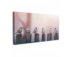 Tuinschilderij voor buiten 200x100 cm - Tuindecoratie Vogels - Mussen - Paaltjes - Hout - Tuinposter op canvas - Tuin muurdecoratie - Buitenschilderij decoratie - Schutting wanddecoratie - Buitencanvas