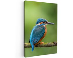 Tuinschilderij voor buiten 40x60 cm - Tuindecoratie IJsvogel - Tak - Mos - Vogel - Groen - Tuinposter op canvas - Tuin muurdecoratie - Buitenschilderij decoratie - Schutting wanddecoratie - Buitencanvas