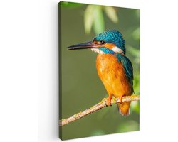 Tuinschilderij voor buiten 40x60 cm - Tuindecoratie Vogel - IJsvogel - Tak - Bladeren - Mos - Tuinposter op canvas - Tuin muurdecoratie - Buitenschilderij decoratie - Schutting wanddecoratie - Buitencanvas