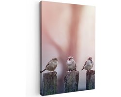 Tuinschilderij voor buiten 40x60 cm - Tuindecoratie Vogels - Mussen - Paaltjes - Hout - Tuinposter op canvas - Tuin muurdecoratie - Buitenschilderij decoratie - Schutting wanddecoratie - Buitencanvas