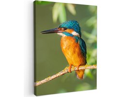 Tuinschilderij voor buiten 50x70 cm - Tuindecoratie Vogel - IJsvogel - Tak - Bladeren - Mos - Tuinposter op canvas - Tuin muurdecoratie - Buitenschilderij decoratie - Schutting wanddecoratie - Buitencanvas