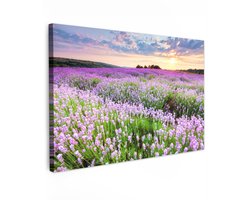 Tuinschilderij voor buiten 60x40 cm - Tuindecoratie Lavendel - Bloemen - Zonsondergang - Paars - Weide - Tuinposter op canvas - Tuin muurdecoratie - Buitenschilderij decoratie - Schutting wanddecoratie - Buitencanvas