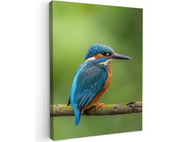 Tuinschilderij voor buiten 70x100 cm - Tuindecoratie IJsvogel - Tak - Mos - Vogel - Groen - Tuinposter op canvas - Tuin muurdecoratie - Buitenschilderij decoratie - Schutting wanddecoratie - Buitencanvas