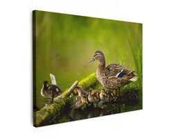 Tuinschilderij voor buiten 70x50 cm - Tuindecoratie Eend - Vogels - Water - Tak - Mos - Tuinposter op canvas - Tuin muurdecoratie - Buitenschilderij decoratie - Schutting wanddecoratie - Buitencanvas