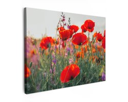 Tuinschilderij voor buiten 70x50 cm - Tuindecoratie Klaproos - Bloemen - Rood - Paars - Weide - Tuinposter op canvas - Tuin muurdecoratie - Buitenschilderij decoratie - Schutting wanddecoratie - Buitencanvas