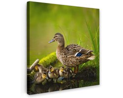 Tuinschilderij voor buiten 70x70 cm - Tuindecoratie Eend - Vogels - Water - Tak - Mos - Tuinposter op canvas - Tuin muurdecoratie - Buitenschilderij decoratie - Schutting wanddecoratie - Buitencanvas
