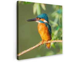 Tuinschilderij voor buiten 80x80 cm - Tuindecoratie Vogel - IJsvogel - Tak - Bladeren - Mos - Tuinposter op canvas - Tuin muurdecoratie - Buitenschilderij decoratie - Schutting wanddecoratie - Buitencanvas