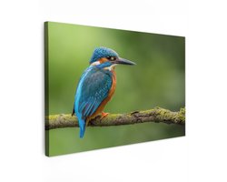Tuinschilderij voor buiten 90x60 cm - Tuindecoratie IJsvogel - Tak - Mos - Vogel - Groen - Tuinposter op canvas - Tuin muurdecoratie - Buitenschilderij decoratie - Schutting wanddecoratie - Buitencanvas