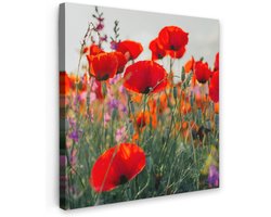 Tuinschilderij voor buiten 90x90 cm - Tuindecoratie Klaproos - Bloemen - Rood - Paars - Weide - Tuinposter op canvas - Tuin muurdecoratie - Buitenschilderij decoratie - Schutting wanddecoratie - Buitencanvas
