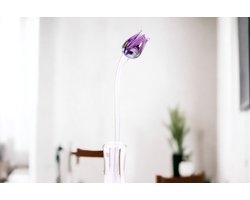Tulp Multicolor Paars - Glazen Tulpen - Bloemen - Tulpen van Glas - Roos van Glas - Glazen Bloemen