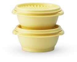 Tupperware zonnedeksel kommen set van 2