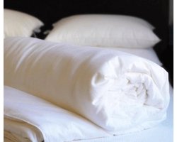 Tussenseizoen zijden dekbed (katoenen tijk) 100% zijde vulling, 220X240cm