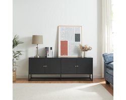 TV meubel Janakkala staal 153x35x55 cm zwart [en.casa]