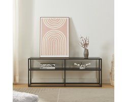 TV meubel Solund staal 120x30x46 cm zwart [en.casa]