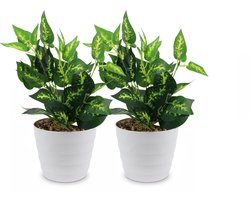 Twee Kunstplant in pot -Nep Planten-Voor Binnen en Buiten-Kamer decoratie-40x16cm
