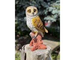 Uil kuiken 3 ass Kerkuil 24 cm hoog - polyester - polyresin - polystone - hoogkwalitatieve kunststof - decoratiefiguur - interieur - accessoire - voor binnen - voor buiten - cadeau - geschenk - Kerst - Nieuwjaar - tuinfiguur - tuinbeeld