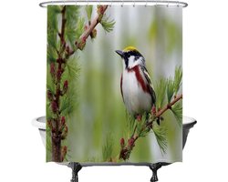 Ulticool Douchegordijn - Vogel op Tak Boom Natuur - 180 x 200 cm - met 12 ringen - Anti Schimmel - Waterdicht & Wasbaar - Semi Transparant - Groen