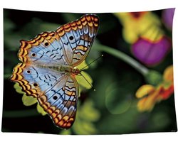 Ulticool Vlinder Bloemen Natuur - Wandkleed Poster - 200x150 cm - Groot wandtapijt - Tuinposter Tapestry - Schilderij Decoratie Tuin Versiering Accessoire - Idee voor Vrouw voor Moeders