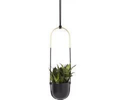 Umbra Bolo hangende plantenbak