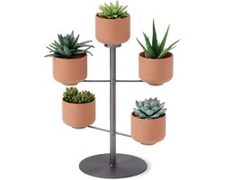 Umbra Terrapotta plantenhouder 29x38x29cm voor 5 planten keramiek Titanium