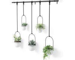 Umbra Triflora hangende bloempotten, set van 5