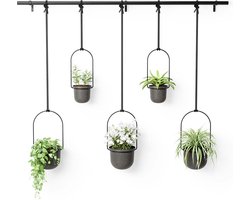 Umbra Triflora hangende bloempotten, set van 5