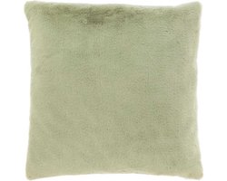 Unique Living - Sierkussen Klaas Tea Green -45x45cm