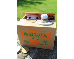 United Entertainment ® - Spaarpot - Kitty Bank