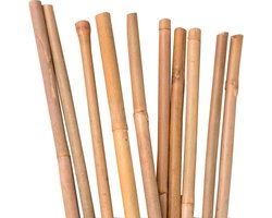 UNUS® Bamboestokken, tonkinstokken, plantensteunen 120 cm, 10 stuks