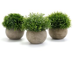 Unyqoos ® Stijlvolle Kunstplanten voor Binnenhuisdecoratie - Kies uit Diverse Opties zoals Bloemen, Succulenten en Klimop