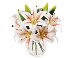 Unyqoos® Zesdelige set van levensechte kunstlelies voor huis en kantoor